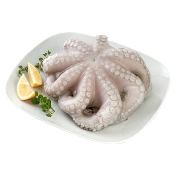 Wholesale Merimar Octopus Baby T-8 Flower 26lb- Bulk