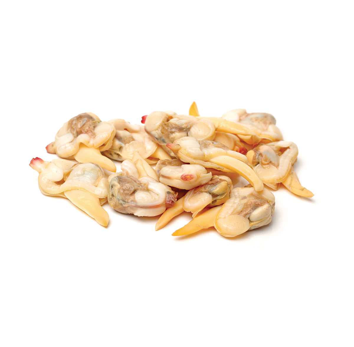 Wholesale Pana Pesca Clam Meat 1lb- Bulk