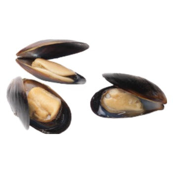 Wholesale Pana Pesca Mussels Black in Shell 1lb- Bulk