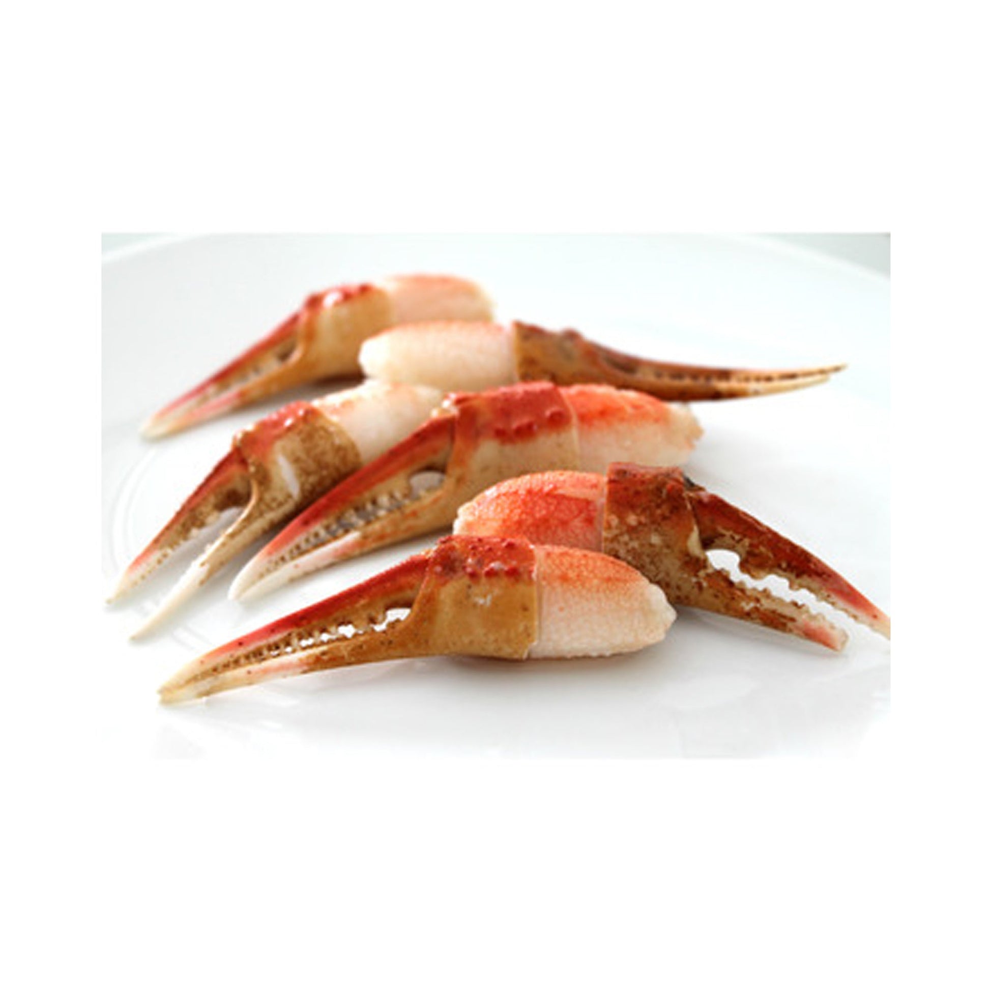 Wholesale Signature Catch Snow Crab Claws 12/16 3lb- Bulk