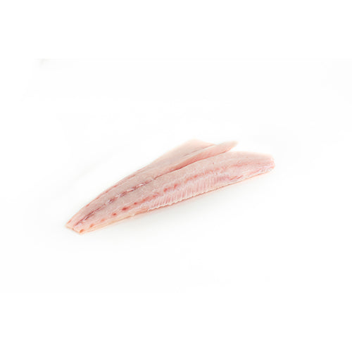 Wholesale Open Blue Cobia Fillet 6-8 Oz 10lb- Bulk