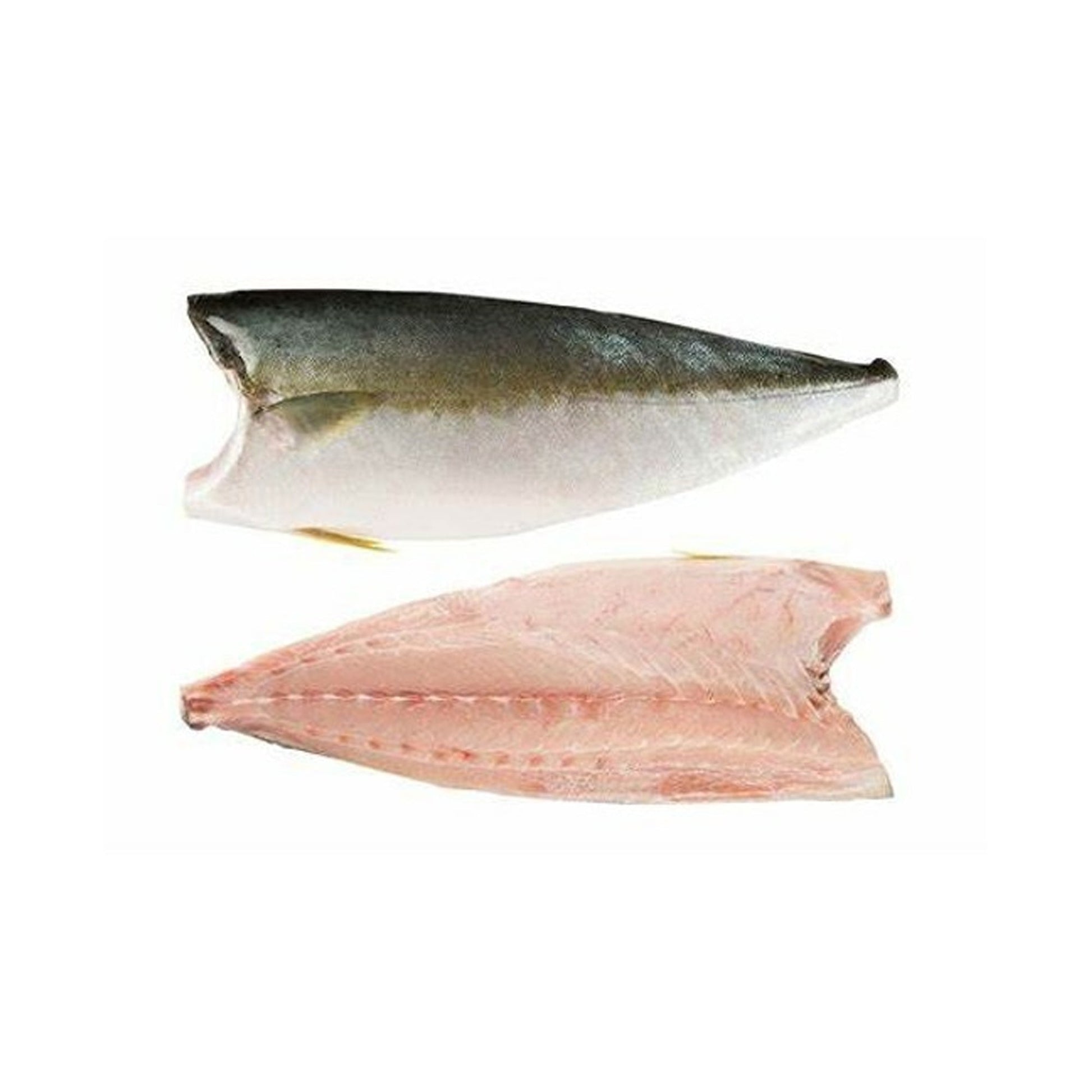 Wholesale Mark Foods Inc Hamachi Fillet 4.4 & Up 4.4lb- Bulk