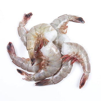 Wholesale Censea Shrimp 8/12t a-Pac 4lb- Bulk