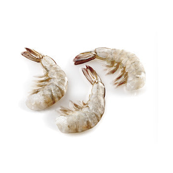 Wholesale Oishii Raw Ez Peel White Shrimp U 12 2lb- Bulk
