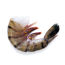 Wholesale Open Coast Tiger Shrimp, Chemical-Free Easy Peel Black 13/15 2lb- Bulk