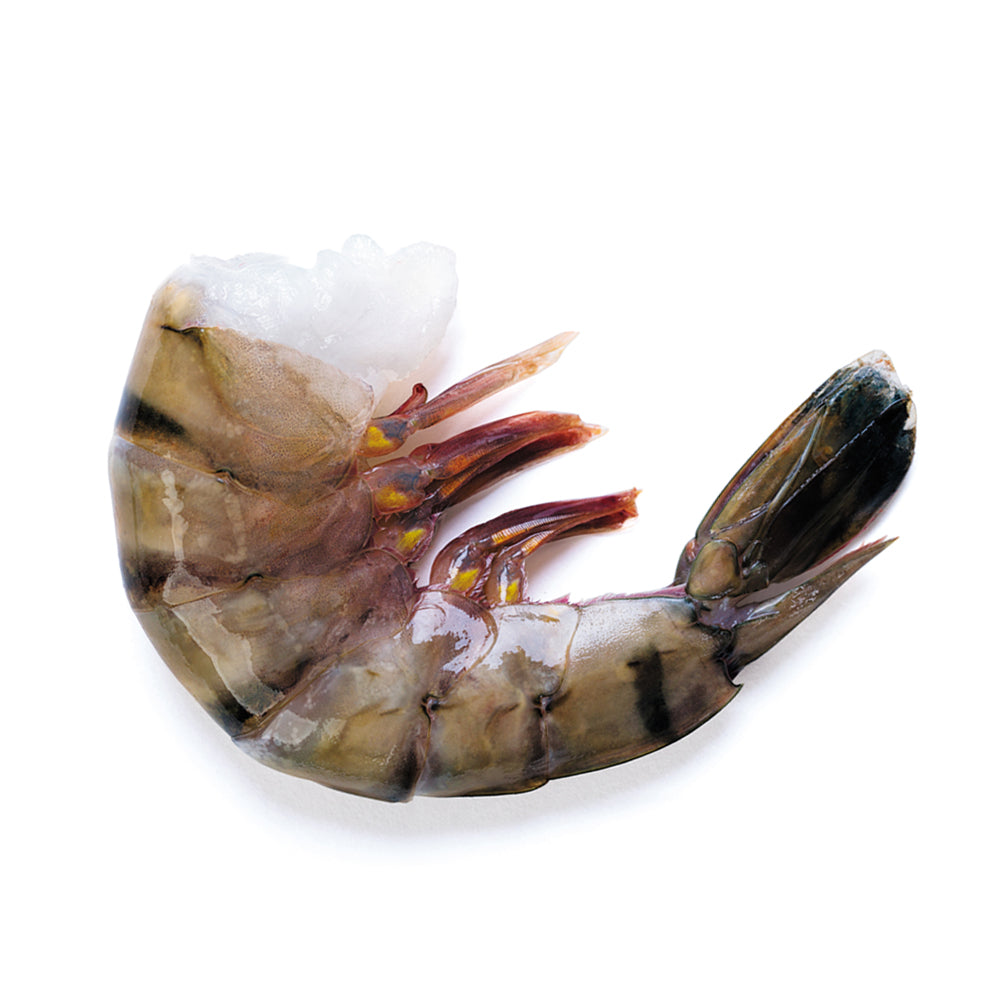 Wholesale Open Coast Shrimp, Chemical-Free Ez Peel 16/20 Iqf 2lb- Bulk