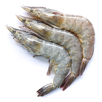 Wholesale Prim7Stars Shrimp Head-on Tiger Prawn U/4 4.4lb- Bulk