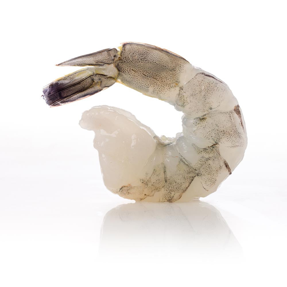 Wholesale XW: Xtraordinary White Shrimp Shrimp, Chemical Free Peeled & Deveined Tail-on 16-20 Iqf 2lb- Bulk