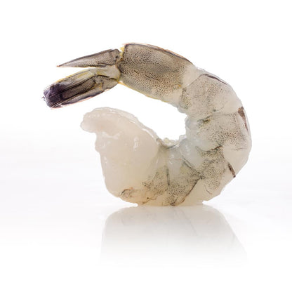 Wholesale XW: Xtraordinary White Shrimp Shrimp, Chemical Free Peeled & Deveined Tail-on 16-20 Iqf 2lb- Bulk
