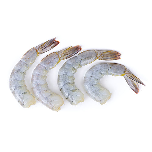 Wholesale XW: Xtraordinary White Shrimp White Shrimp, Chemical Free Peeled & Deveined Tail-on 21-25 2lb- Bulk