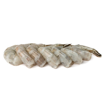 Wholesale XW: Xtraordinary White Shrimp Shrimp 26/30 2lb- Bulk
