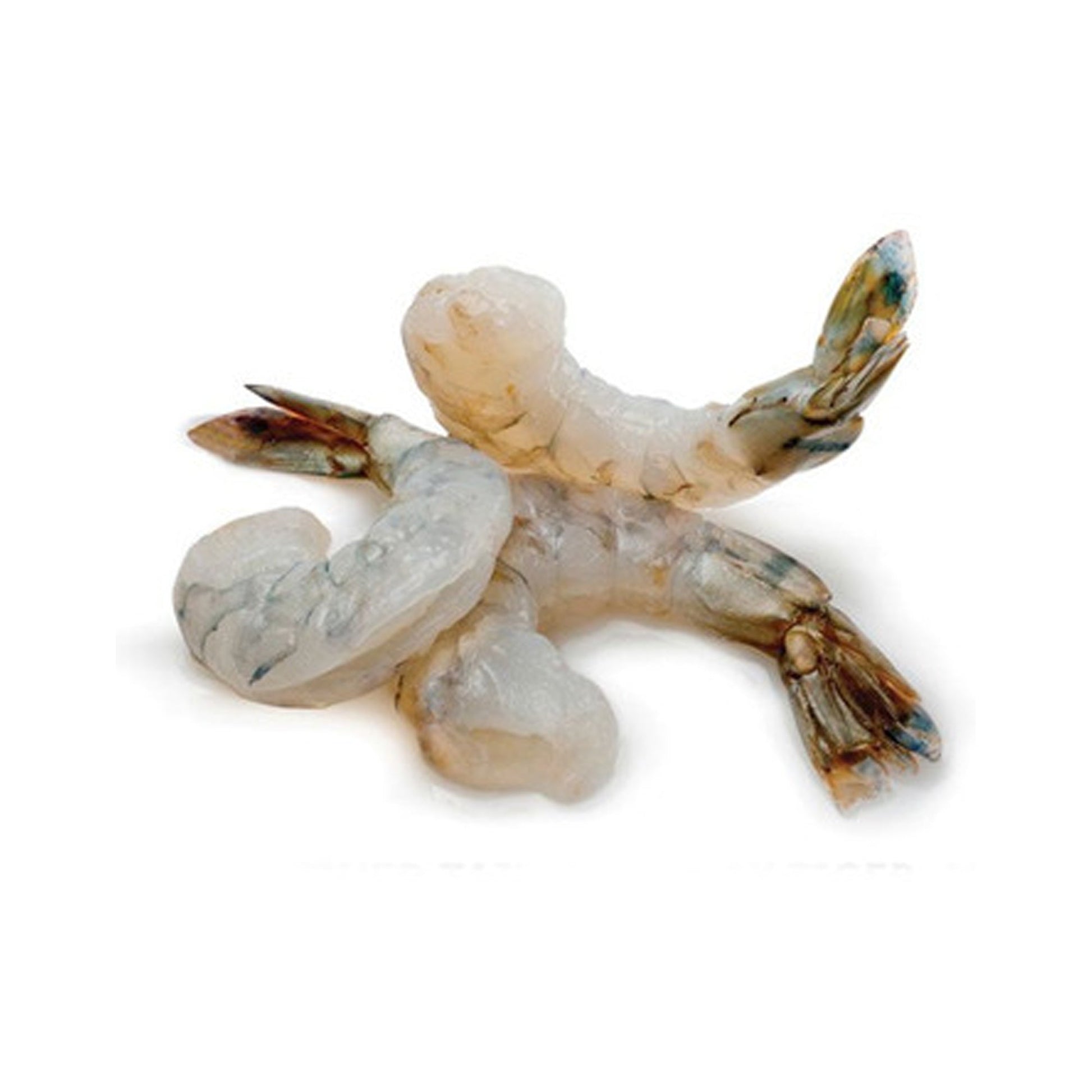 Wholesale Bright Star Shrimp Medium Cooked, Tail-Off 2lb- Bulk