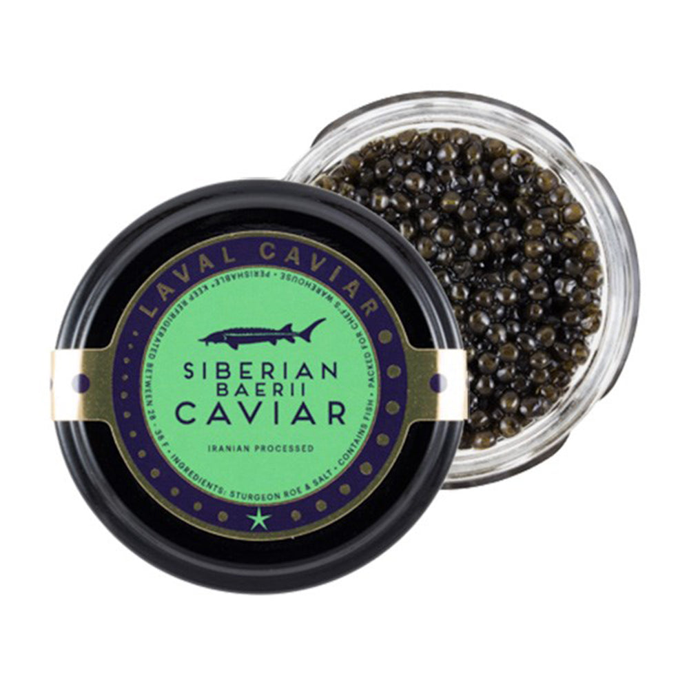 Wholesale Sasanian Caviar Siberian Baerii 4oz- Bulk