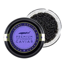 Wholesale Sasanian Hackleback Sturgeon Caviar in Tin 8.75oz- Bulk