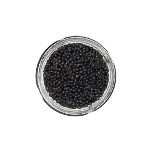 Wholesale Sasanian Hackleback Sturgeon Caviar in Tin 17.5oz- Bulk