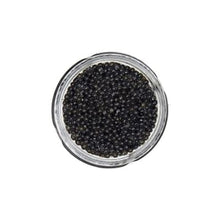 Wholesale Sasanian Hackleback Sturgeon Caviar in Tin 17.5oz- Bulk