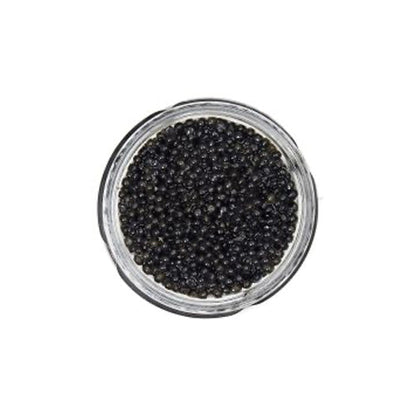 Wholesale Sasanian Hackleback Sturgeon Caviar in Tin 17.5oz- Bulk