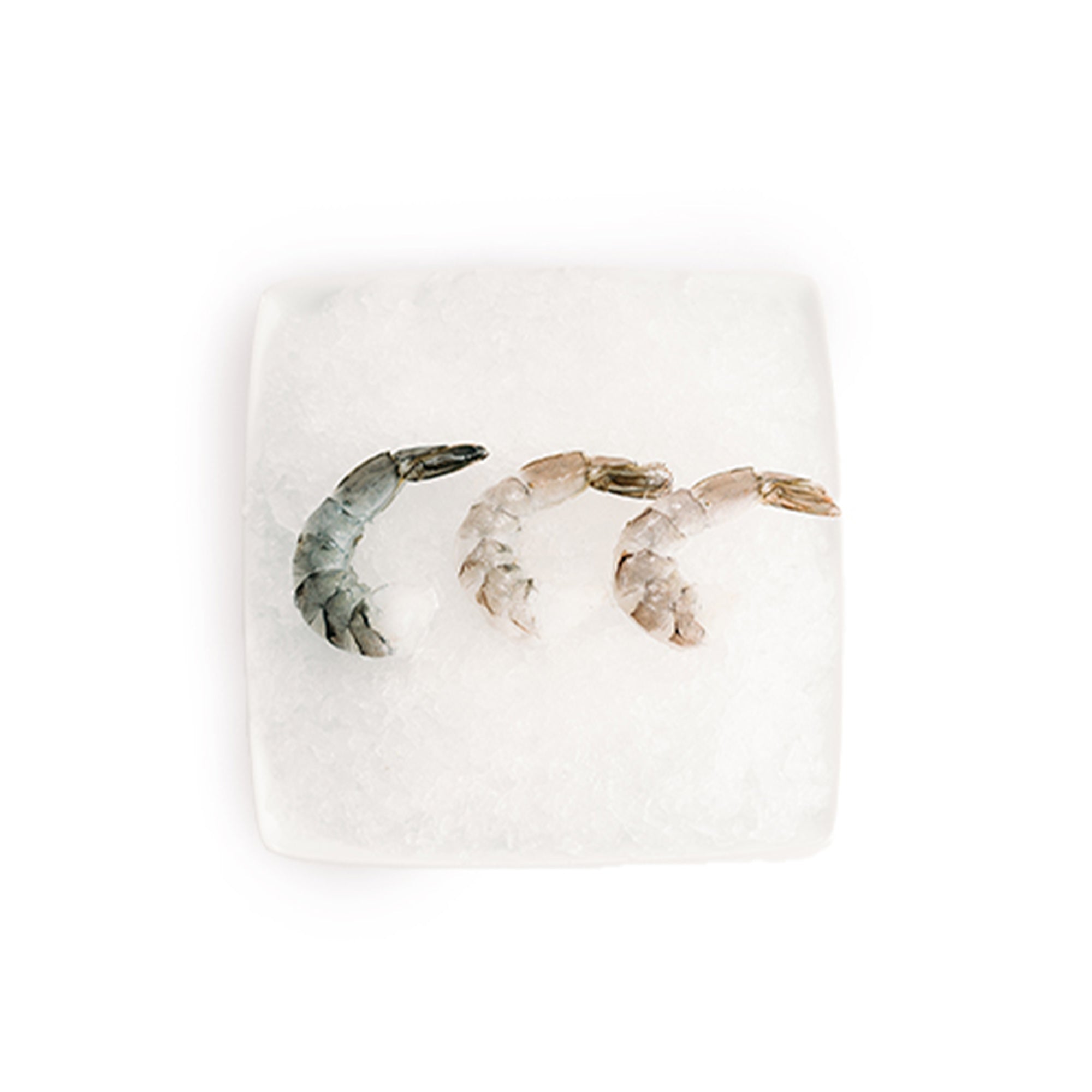 Wholesale Blu Lux Shrimp 16/20 Peeled & Deveined Tail-On 2lb- Bulk