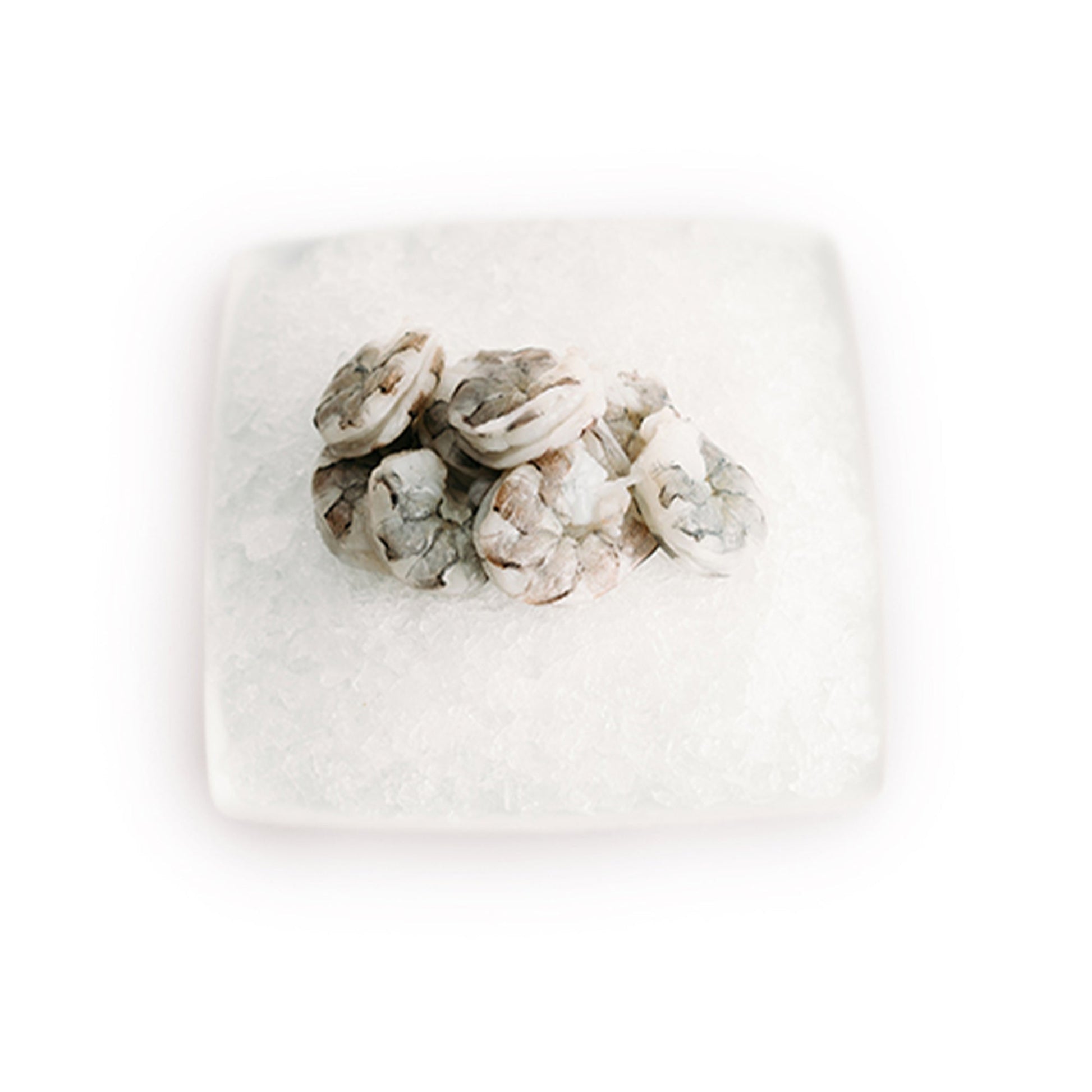 Wholesale Blu Lux Shrimp 16/20 Peeled & Deveined Tail-Off 2lb- Bulk