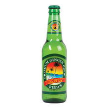 Wholesale Reeds Premium Ginger Brew 12 Oz Bottle- Bulk